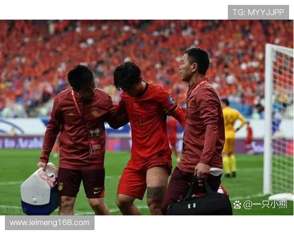 国家队备战世界杯亚洲区预选赛新阵容亮相引发球迷热议持续升温